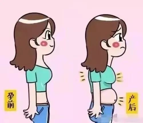 產(chǎn)后腹直肌分離康復(fù)指導(dǎo)訓(xùn)練