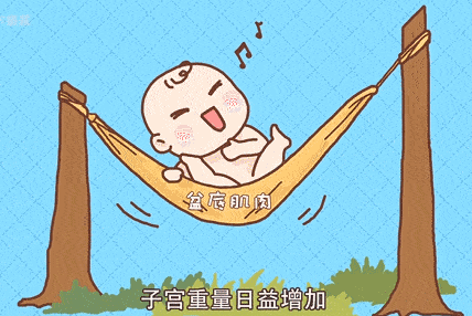 女性一定要知道盆底康復(fù)的重要性！