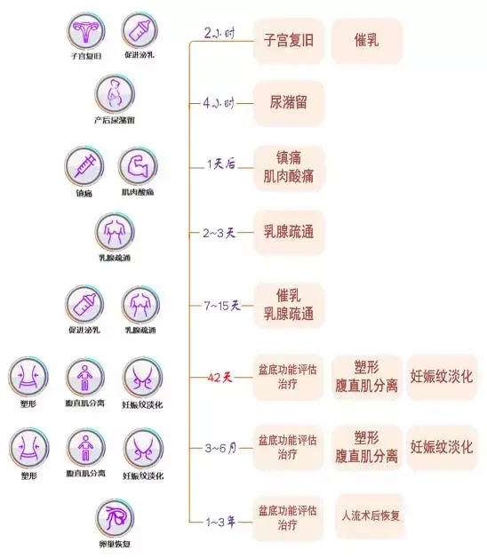 產(chǎn)后康復(fù)最佳時(shí)機(jī)，珍藏！